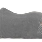 Sport flysinė gūnia