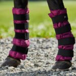 ŠALDANTIS POBINČIAI (pora)