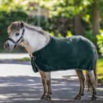 GŪNIA ECONOMIC FLEECE RUG PRAKAITINĖ