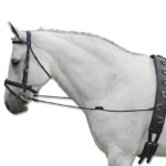 ELASTINIAI ŠONINIAI KAKLO PARIŠIMAS