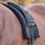 PAMINKŠTINIMAS POBALNIS BALNELIUI "MEMORY"