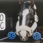 EKKIA kamuolys apsaugantis leicą