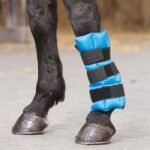 ŠALDANTYS POBINČIAI 1 vnt