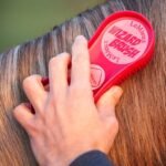 LEMIEUX "WIZARD BRUSH " šepetys