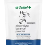 Dr.SEIDEL ELECTROLYTE BALANCER elektrolitai