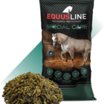 PAŠARAS EQUUSLINE "RECOVERY MASH MIX"