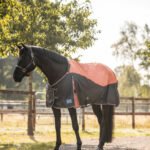 HORZE "LUCERNE TURNOUT RUG" 150 GR. lauko gūnia