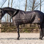 QHP "STABLE RUG CLASSY' gardo gūnia