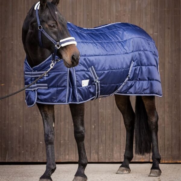 WALDHAUSEN "STABLE RUG ECONOMIC" gardo gūnia 200 gr
