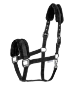 WALDHAUSEN "FIRST" Kantaras