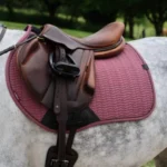 LEMIEUX " ESSENCE EUROJUMP SQUARE " pobalnis - Image 4