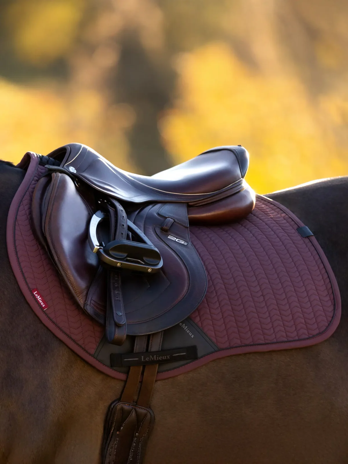 LEMIEUX " ESSENCE EUROJUMP SQUARE " pobalnis - Image 2