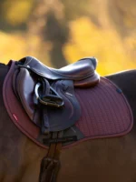 LEMIEUX " ESSENCE EUROJUMP SQUARE " pobalnis - Image 2