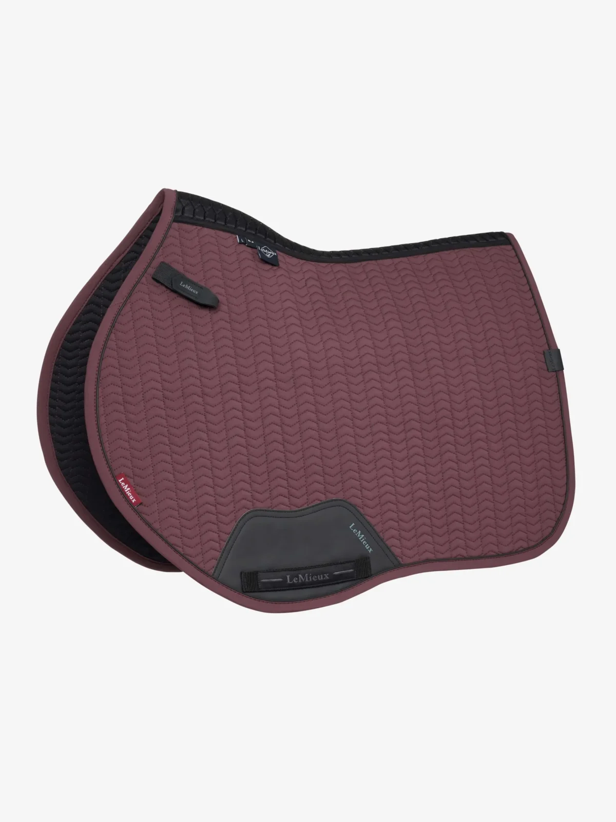 LEMIEUX " ESSENCE EUROJUMP SQUARE " pobalnis - Image 1