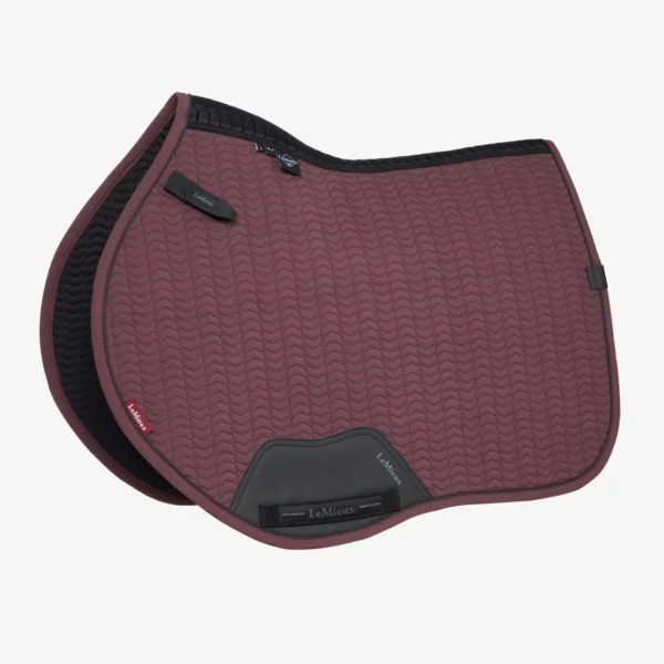 LEMIEUX " ESSENCE EUROJUMP SQUARE " pobalnis