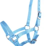 QHP kantaras kumeliukams