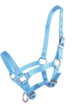 QHP kantaras kumeliukams