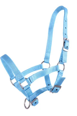 QHP kantaras kumeliukams