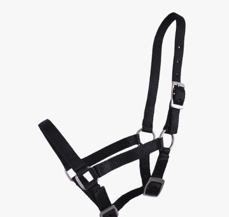 qhp-halster-veulen-zwart QHP kantaras kumeliukams - Image 3