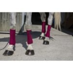 EKKIA " ECO POLO BANDAGES FLEECE " bintai - Image 2
