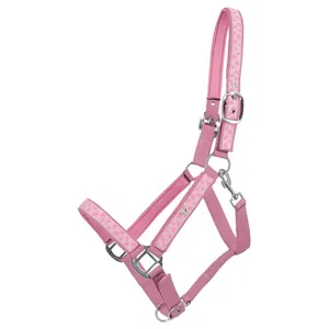 QHP " LYVIA " kantaras