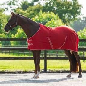 QHP " FLEECE RUG " flysinė gūnia