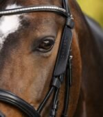 WALDHAUSEN blinker