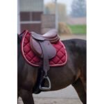 classic pobalnis full burgundy - Image 2