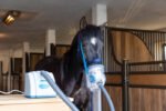 Ultragarsinis inhaliatorius „AirOne Warmblood“ – pilnas komplektas pastatomas