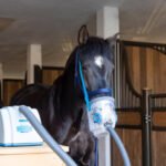 Ultragarsinis inhaliatorius „AirOne Warmblood“ – pilnas komplektas pastatomas