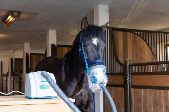 inhal Ultragarsinis inhaliatorius „AirOne Warmblood“ – pilnas komplektas pastatomas - Image 1